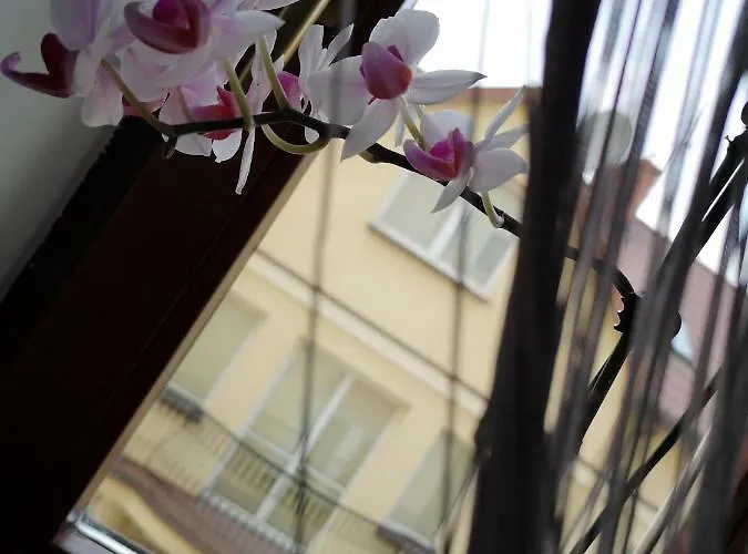 Vandrarhem Danhostel *